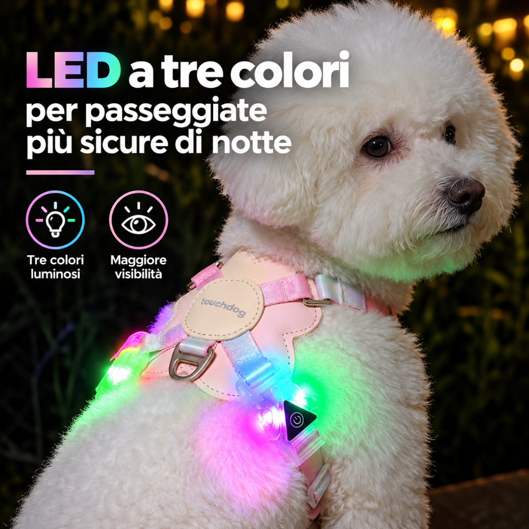 Set Pettorina a X con LED e Guinzaglio Multifunzionale - Arcobaleno Sfumato