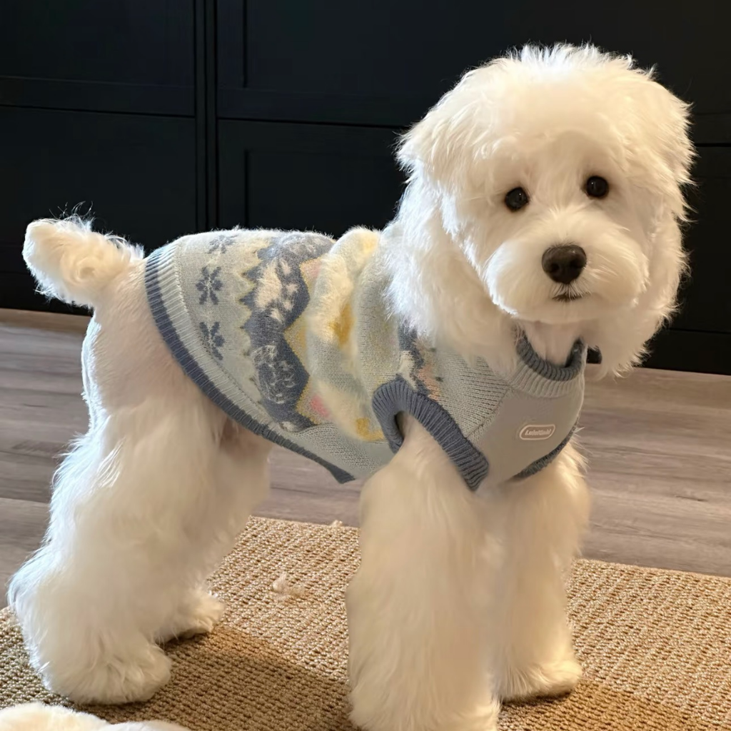 Maglione Fair Isle con Fantasia Cagnolini e Zampette - Azzurro