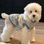 Maglione Fair Isle con Fantasia Cagnolini e Zampette - Azzurro