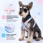 Set Pettorina a X con LED e Guinzaglio Multifunzionale - Arcobaleno Sfumato