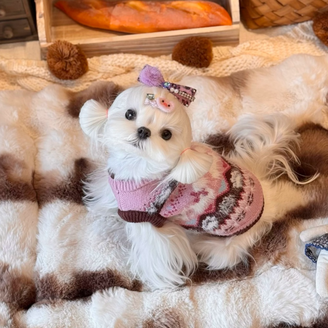 Maglioncino per cani morbido caldo
