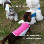 Gilet Rinfrescante Protezione Solare Maglietta Estiva Ultraleggera Traspirante