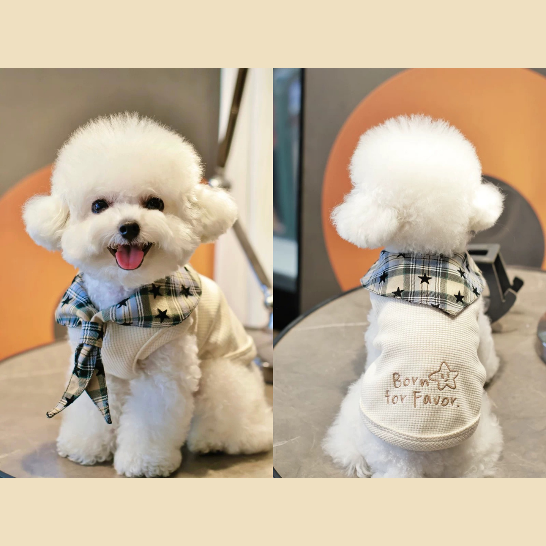 Maglia Gilet in Tessuto Waffle con Colletto e Cravatta