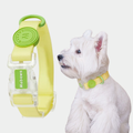 Set Collare + Guinzaglio Impermeabile Multifunzione con Fibbia Trasparente - Verde Limone