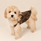 Vestito salopette per cani leopardato