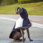 Impermeabile Antivento con Cappuccio Rimovibile Stile Trench Elegante per Outdoor