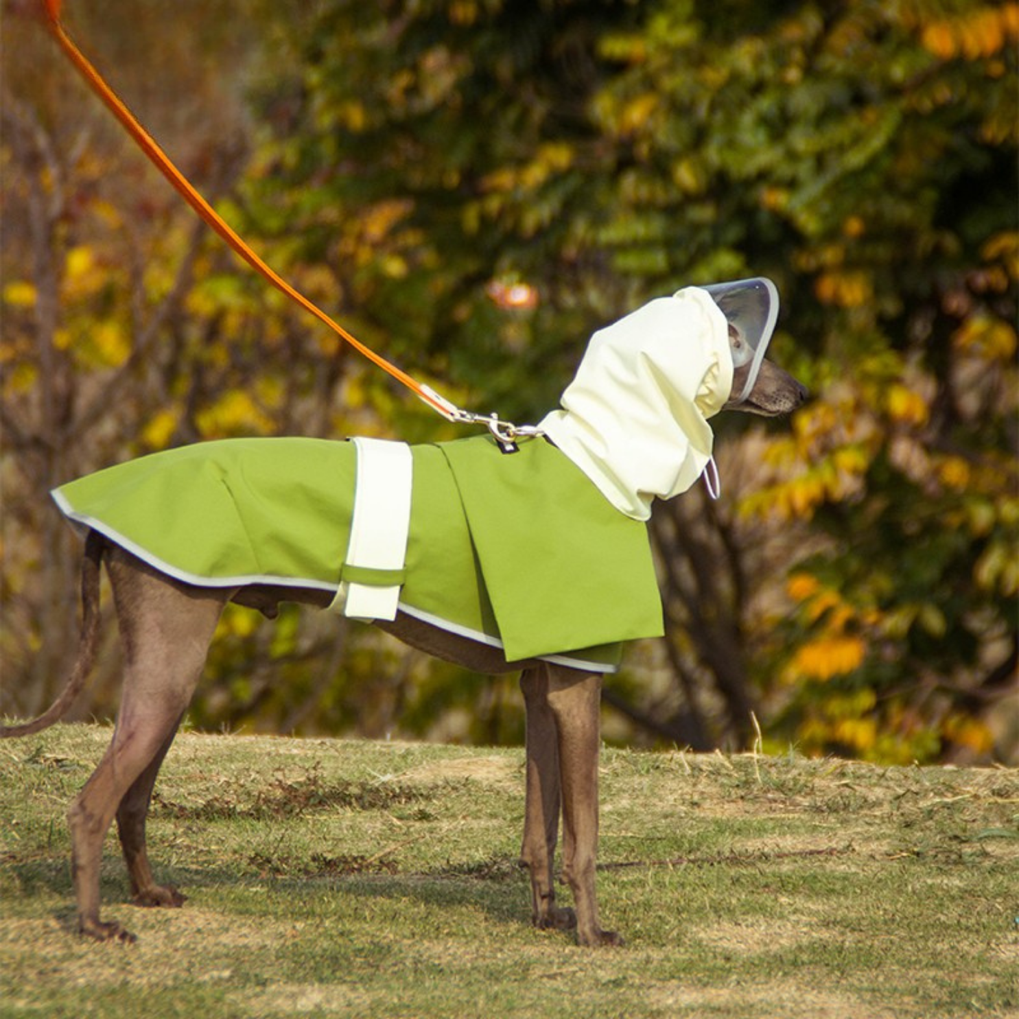 Impermeabile Antivento con Cappuccio Rimovibile Stile Trench Elegante per Outdoor