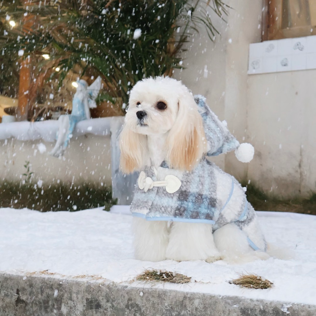 Mantellina Invernale Imbottita con Cappuccio – Fantasia Tartan Azzurra