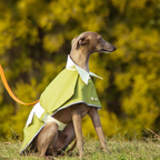 Impermeabile Antivento con Cappuccio Rimovibile Stile Trench Elegante per Outdoor