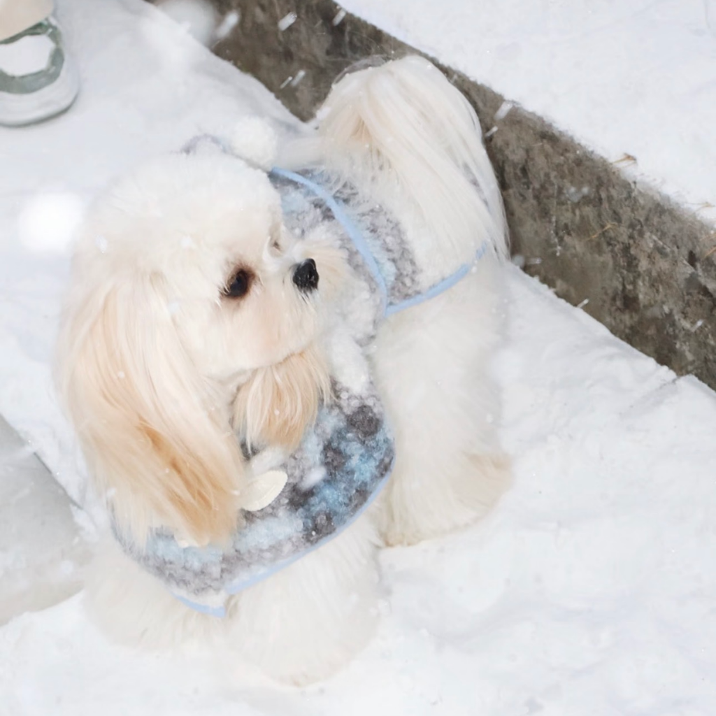 Mantellina Invernale Imbottita con Cappuccio – Fantasia Tartan Azzurra