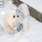 Mantellina Invernale Imbottita con Cappuccio – Fantasia Tartan Azzurra
