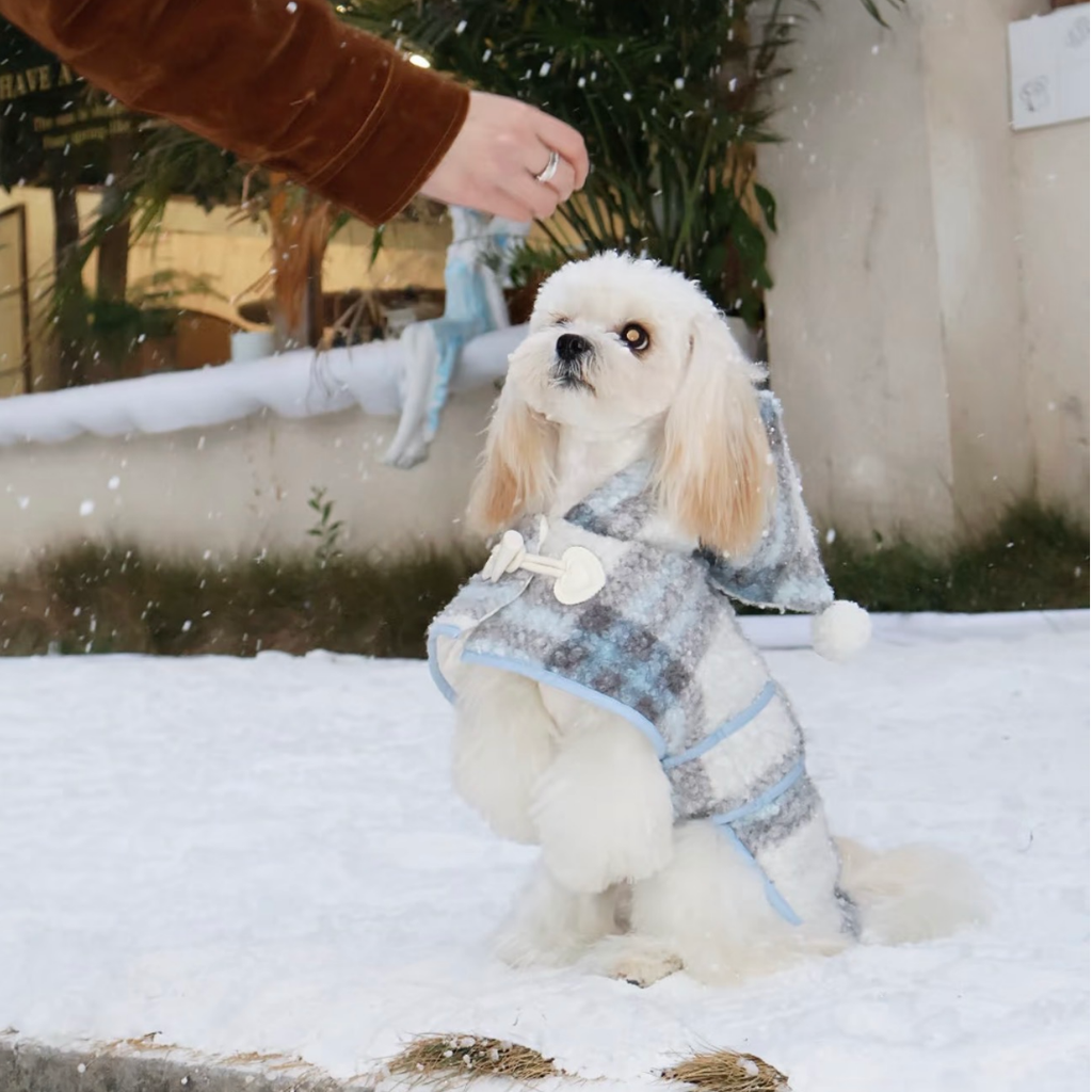 Mantellina Invernale Imbottita con Cappuccio – Fantasia Tartan Azzurra