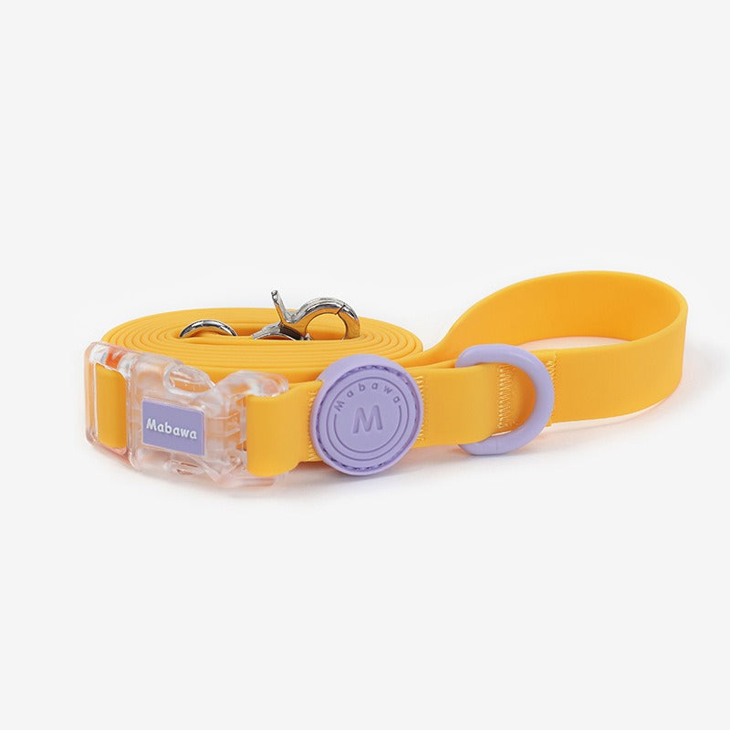 Set Collare + Guinzaglio Impermeabile Resistente Fibbia Trasparente