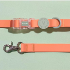 Set Collare + Guinzaglio Impermeabile Multifunzione con Fibbia Trasparente - Arancione
