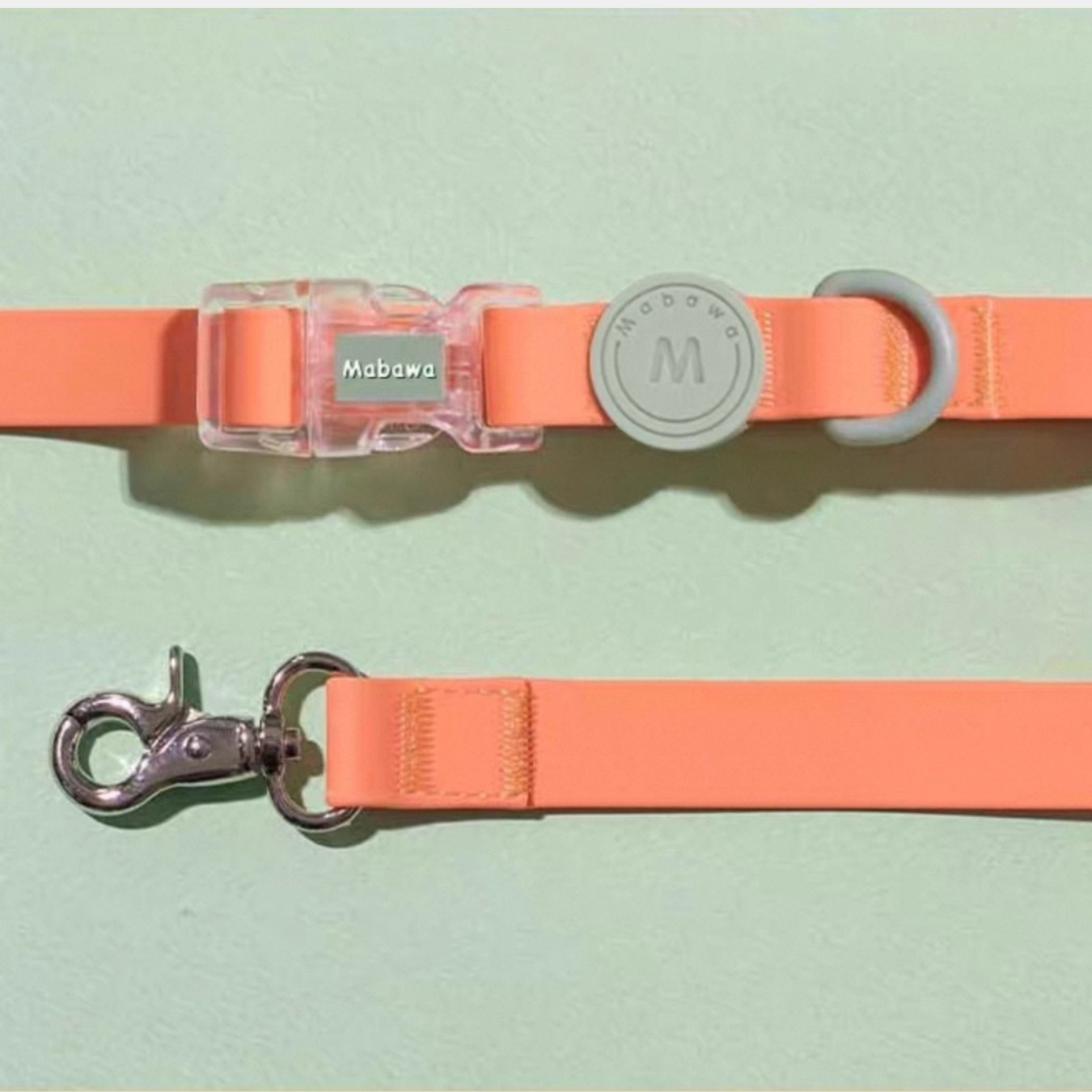Set Collare + Guinzaglio Impermeabile Multifunzione con Fibbia Trasparente - Arancione