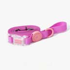 Set Collare + Guinzaglio Impermeabile Multifunzione con Fibbia Trasparente - Rosa Barbie