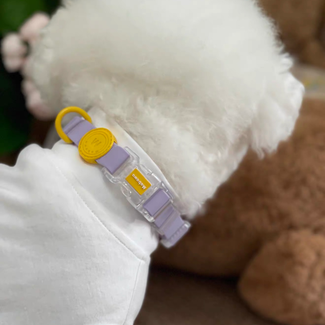 Set Collare + Guinzaglio Impermeabile Multifunzione con Fibbia Trasparente - Viola Pastello