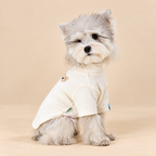 maglia invernale per cani