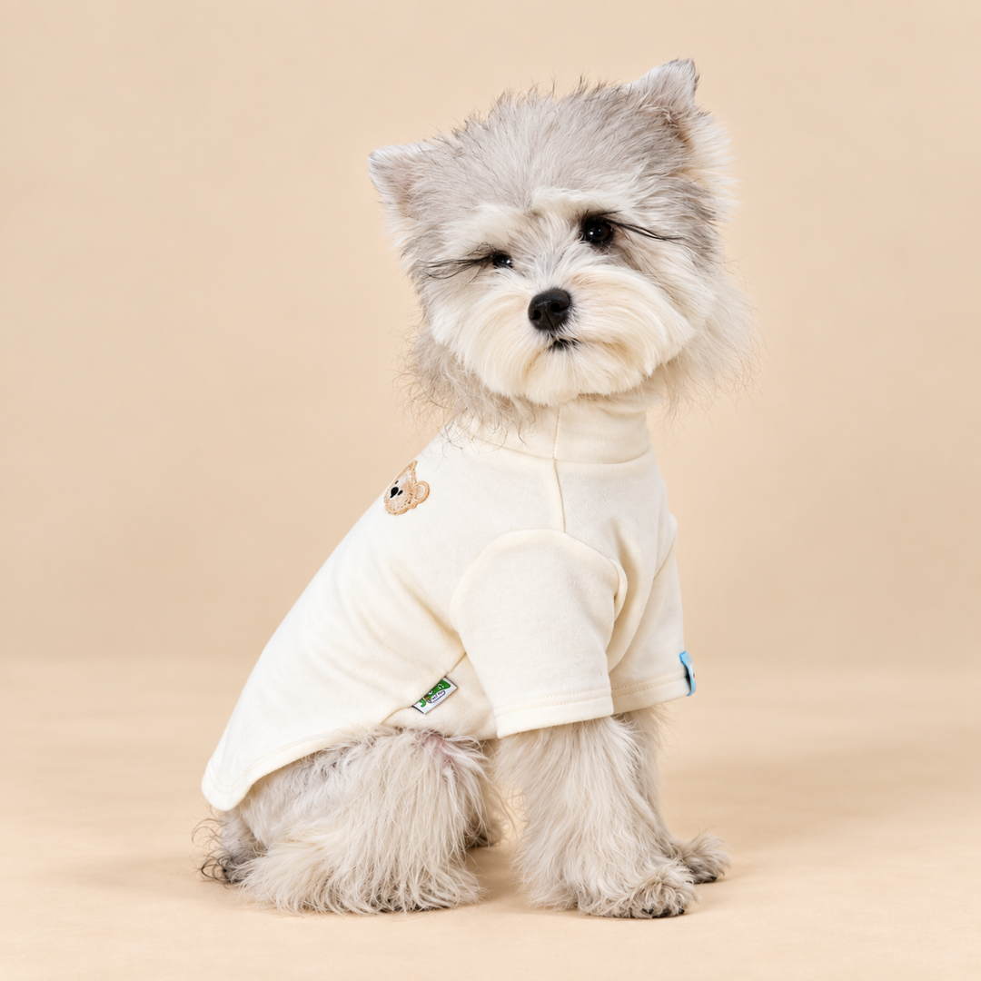maglia invernale per cani