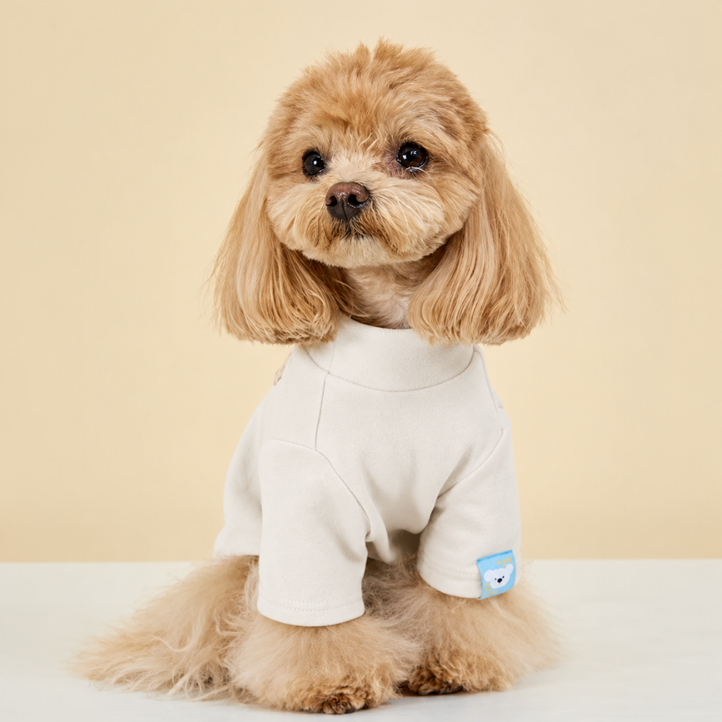 maglia termica cane