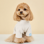 maglia termica cane