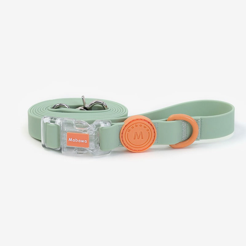 Set Collare + Guinzaglio Impermeabile Multifunzione con Fibbia Trasparente - Verde Pastello