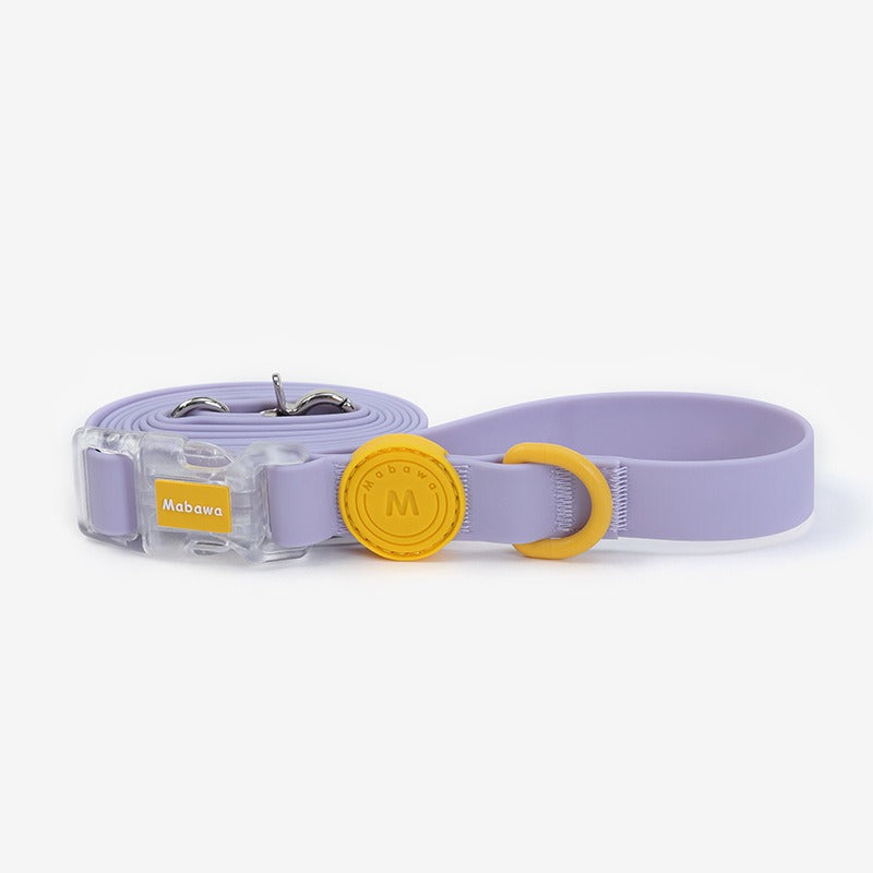 Set Collare + Guinzaglio Impermeabile Resistente Fibbia Trasparente