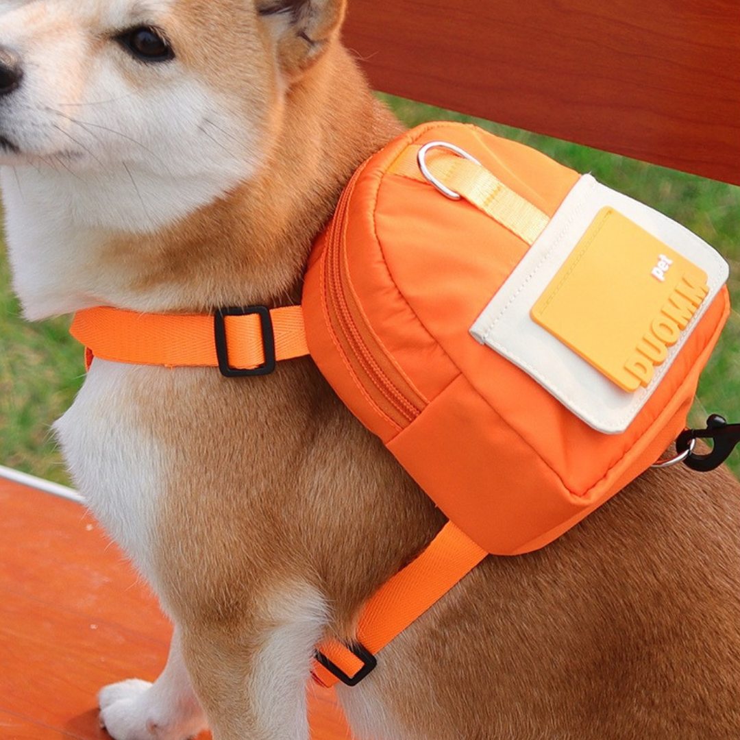 Set Pettorina + Guinzaglio per Cani e Gatti con Zainetto Impermeabile Multicolore