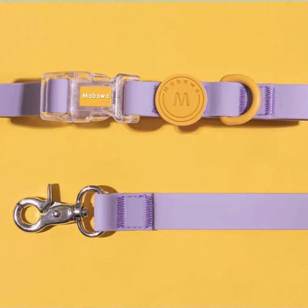 Set Collare + Guinzaglio Impermeabile Multifunzione con Fibbia Trasparente - Viola Pastello