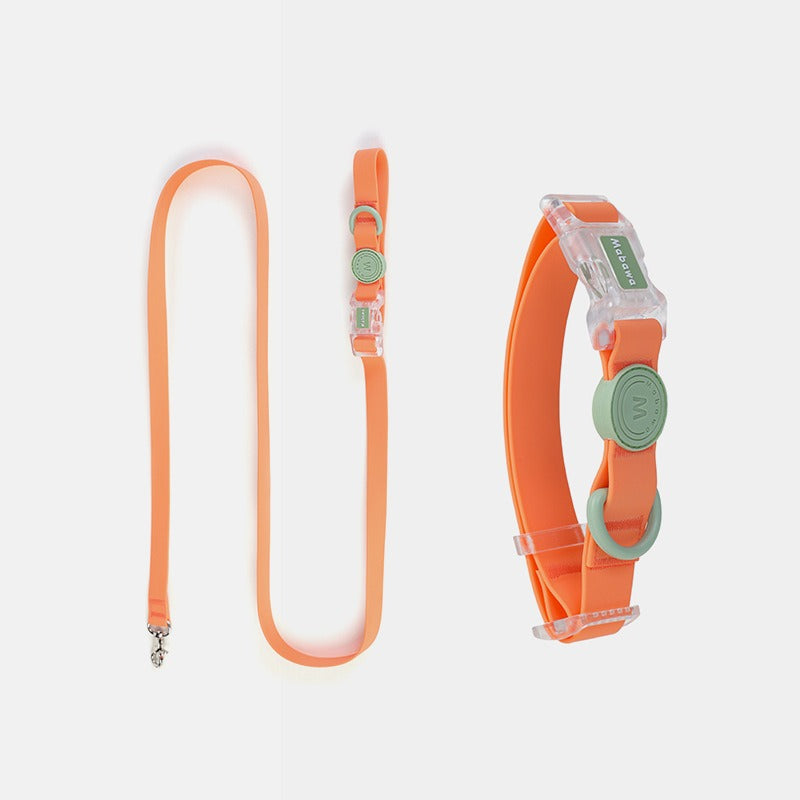 Set Collare + Guinzaglio Impermeabile Resistente Fibbia Trasparente