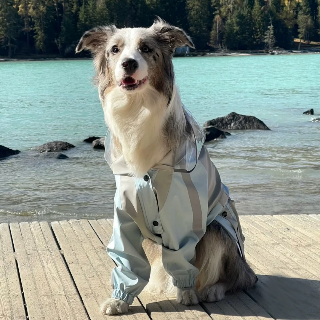 Impermeabile a Due Zampe per Cani di Taglia Grande con Cappuccio a Visiera Trasparente Giacca Outdoor