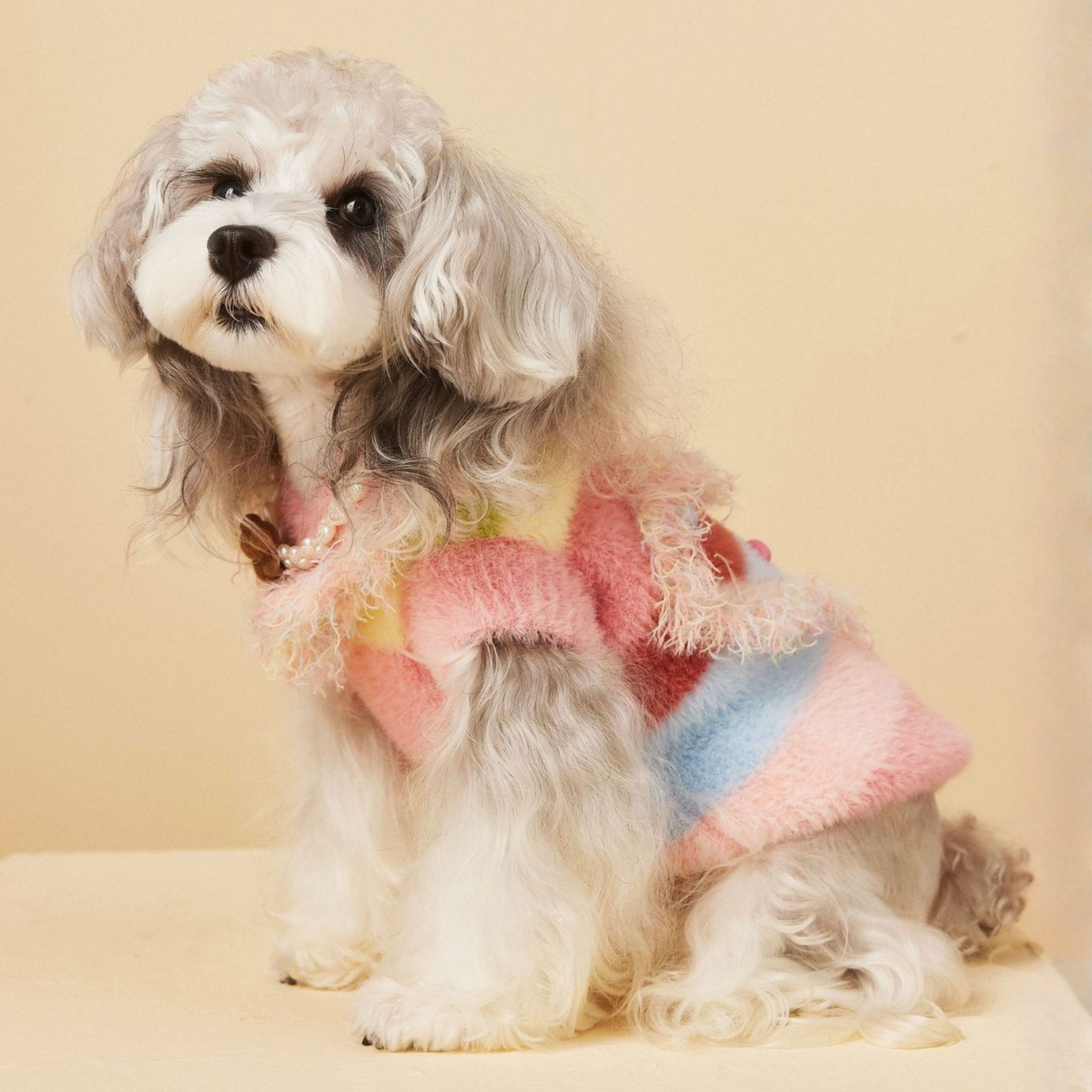 Maglioncino Gilet Colori Arcobaleno con Frange Decorazioni a Cuore