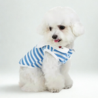 Maglietta Gilet in Cotone a Righe Blu e Bianche con Colletto alla Marinara Ricamo Ciliegie