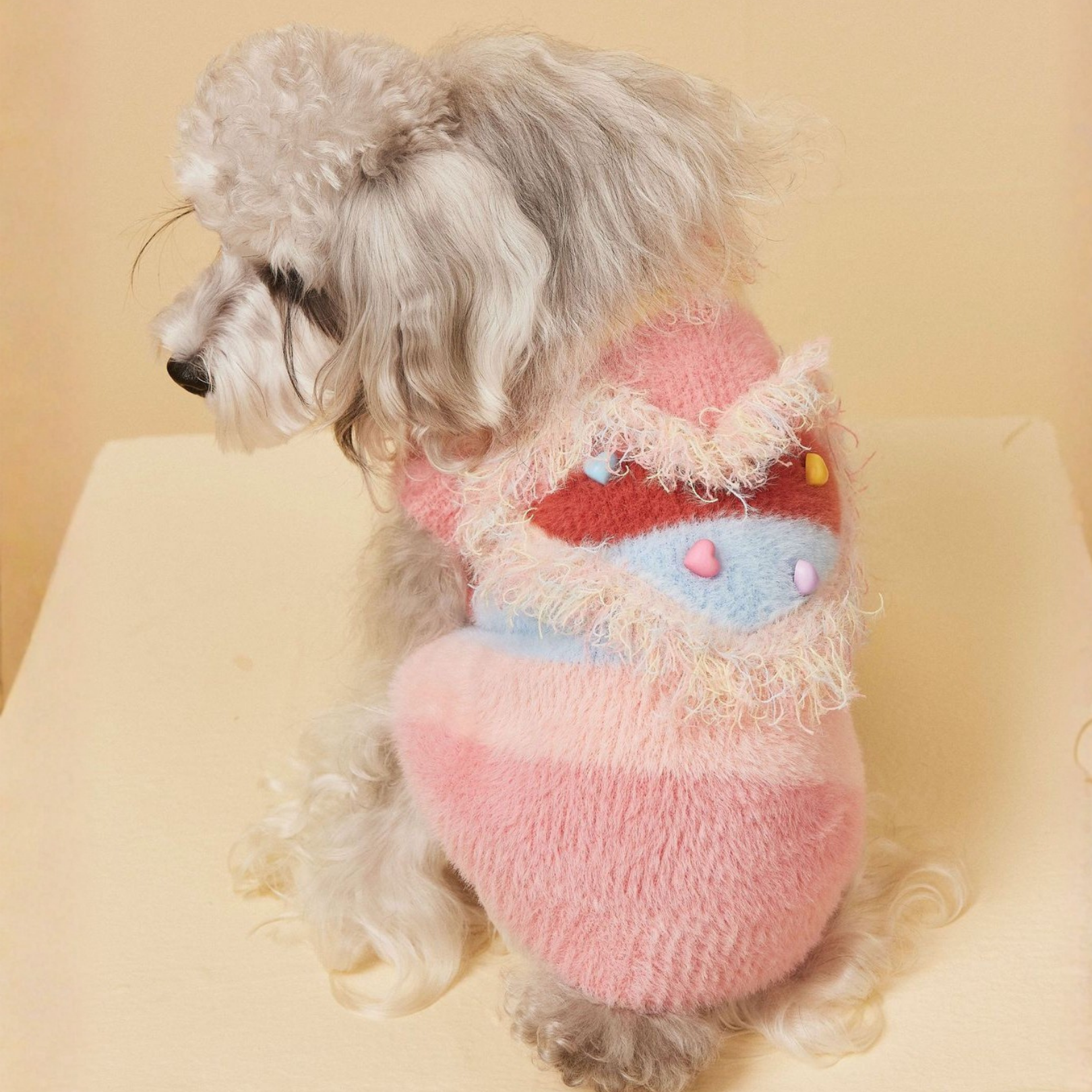 Maglioncino Gilet Colori Arcobaleno con Frange Decorazioni a Cuore