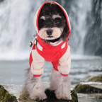 Impermeabile a Quattro Zampe per Cani con Cappuccio Rimovibile Giacca Outdoor Antivento