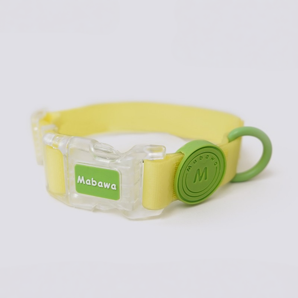 Set Collare + Guinzaglio Impermeabile Multifunzione con Fibbia Trasparente - Verde Limone