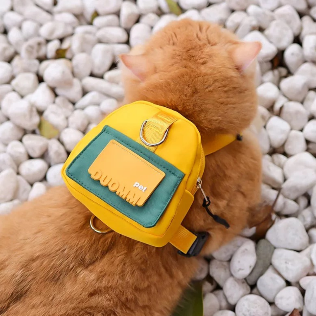 Set Pettorina + Guinzaglio per Cani e Gatti con Zainetto Impermeabile Multicolore
