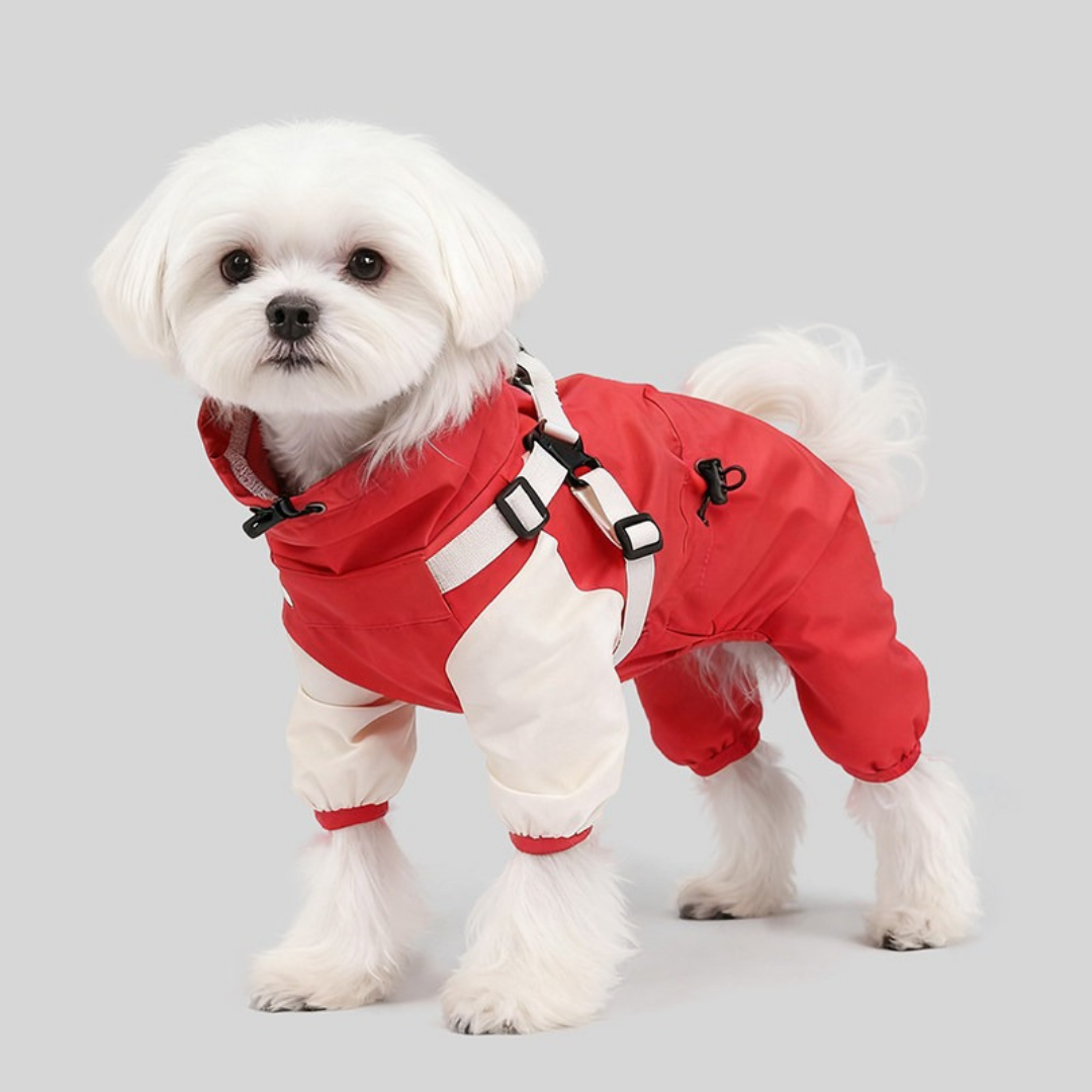 Impermeabile a Quattro Zampe per Cani con Cappuccio Rimovibile Giacca Outdoor Antivento
