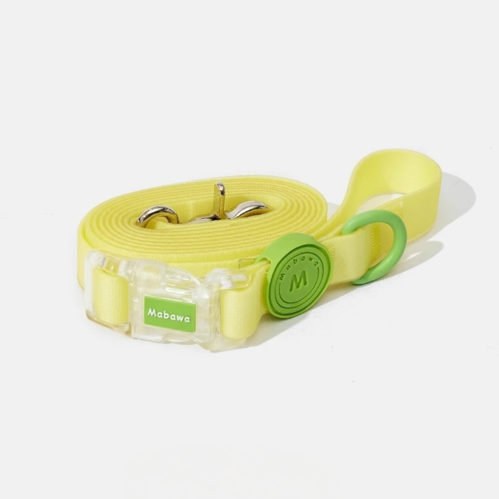 Set Collare + Guinzaglio Impermeabile Multifunzione con Fibbia Trasparente - Verde Limone