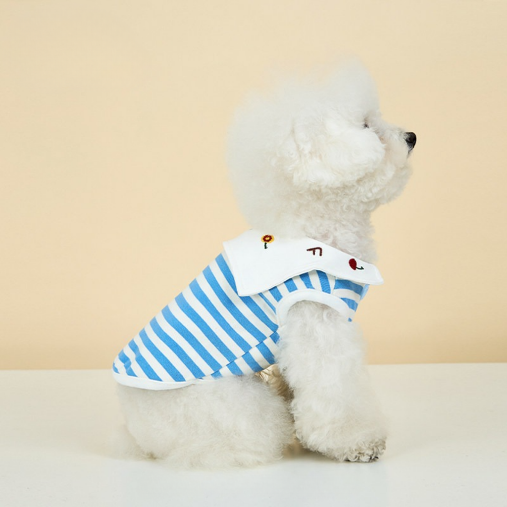 Maglietta Gilet in Cotone a Righe Blu e Bianche con Colletto alla Marinara Ricamo Ciliegie