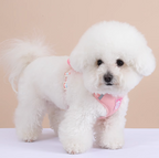 Set Pettorina + Guinzaglio con Grande Fiocco Imbottito Stile Dolce per Cani Gatti