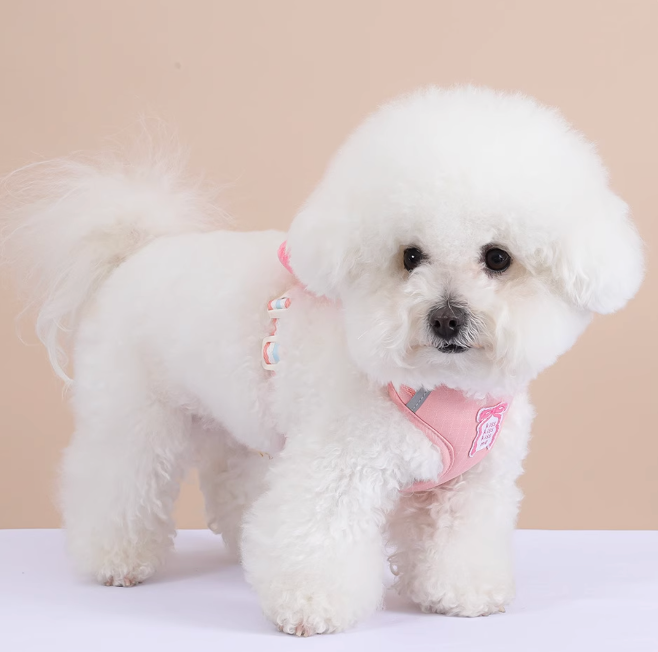 Set Pettorina + Guinzaglio con Grande Fiocco Imbottito Stile Dolce per Cani Gatti