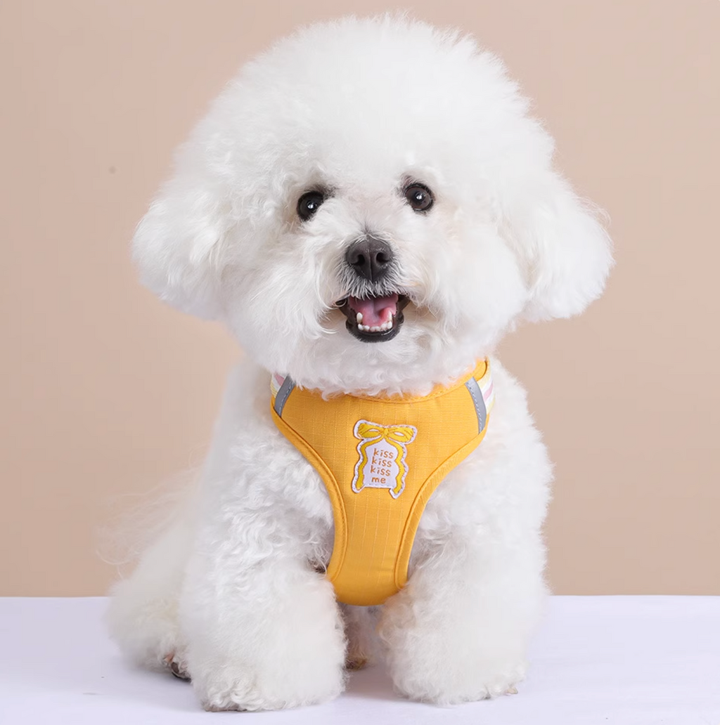 Set Pettorina + Guinzaglio con Grande Fiocco Imbottito Stile Dolce per Cani Gatti