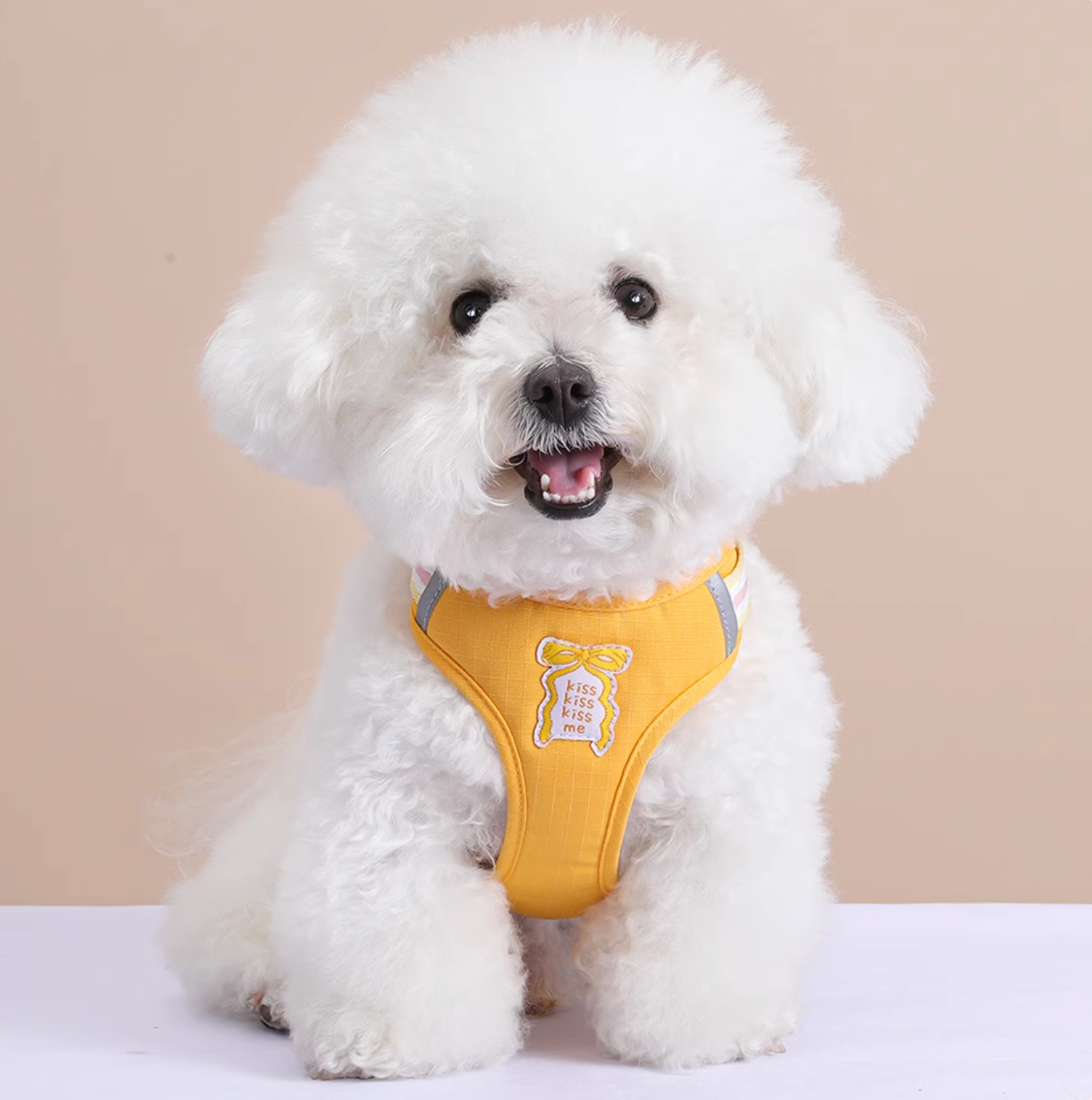 Set Pettorina + Guinzaglio con Grande Fiocco Imbottito Stile Dolce per Cani Gatti