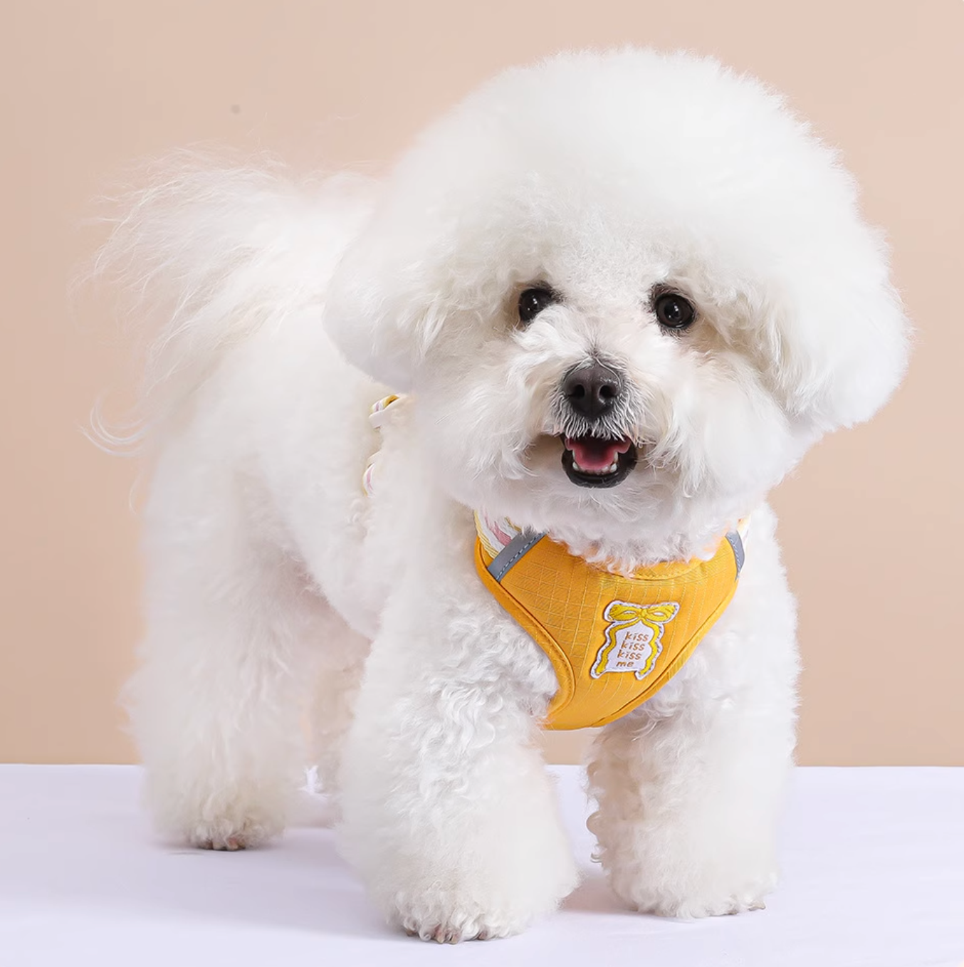 Set Pettorina + Guinzaglio con Grande Fiocco Imbottito Stile Dolce per Cani Gatti