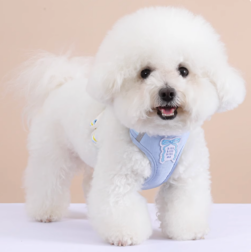 Set Pettorina + Guinzaglio con Grande Fiocco Imbottito Stile Dolce per Cani Gatti