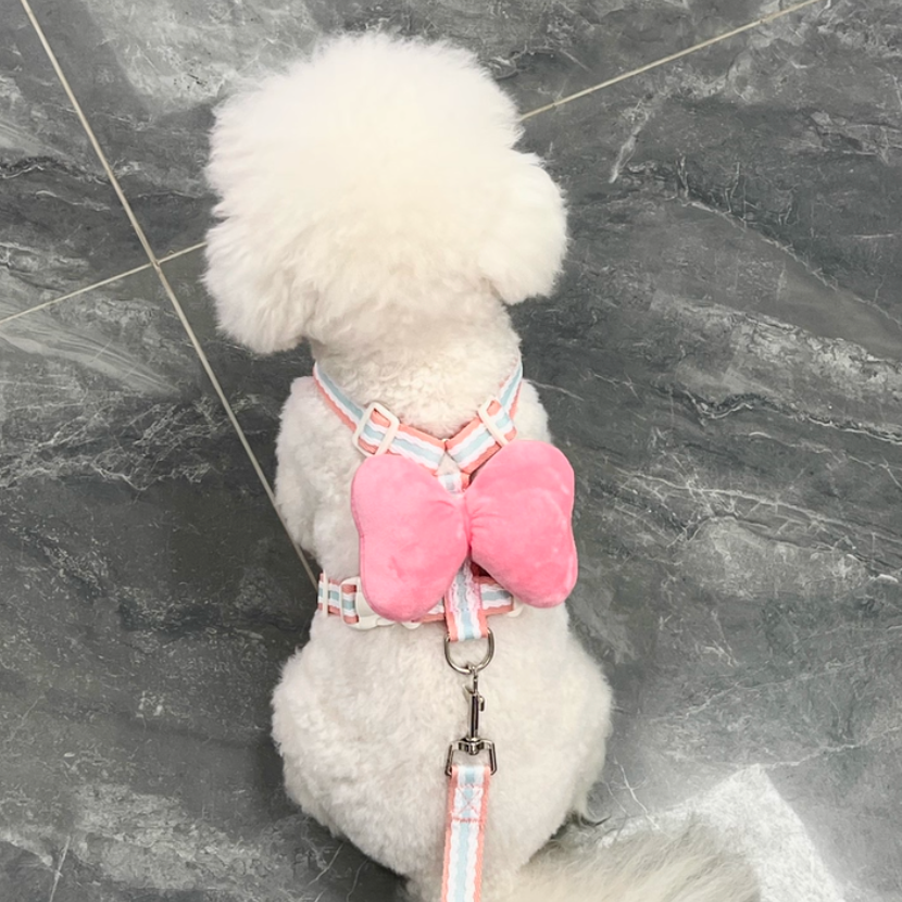 Set Pettorina + Guinzaglio con Grande Fiocco Imbottito Stile Dolce per Cani Gatti