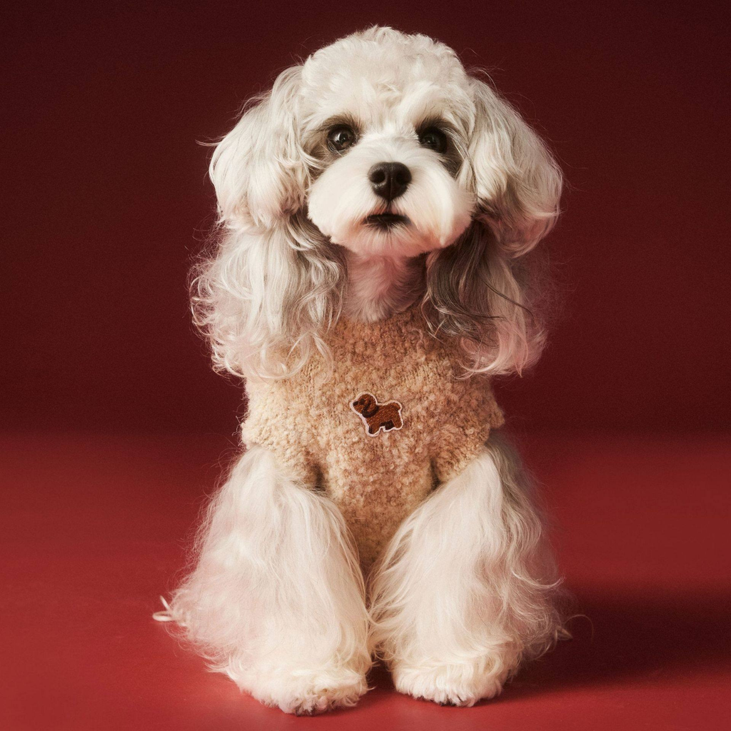 Maglioncino Gilet con Stampa Cagnolino Orecchie 3D