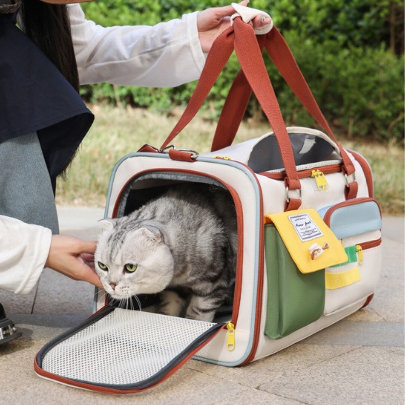 Borsa Trasportino per Cani e Gatti Borsa da Viaggio Pieghevole Funzionale con Tracolla