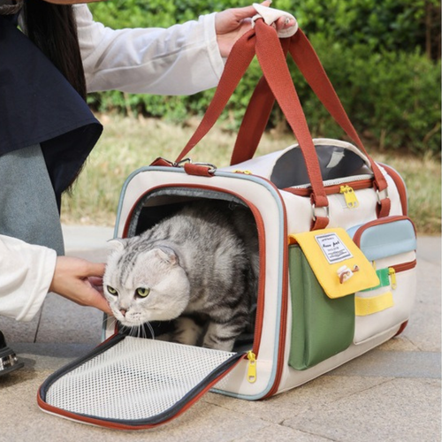 Borsa Trasportino per Cani e Gatti Borsa da Viaggio Pieghevole Funzionale con Tracolla